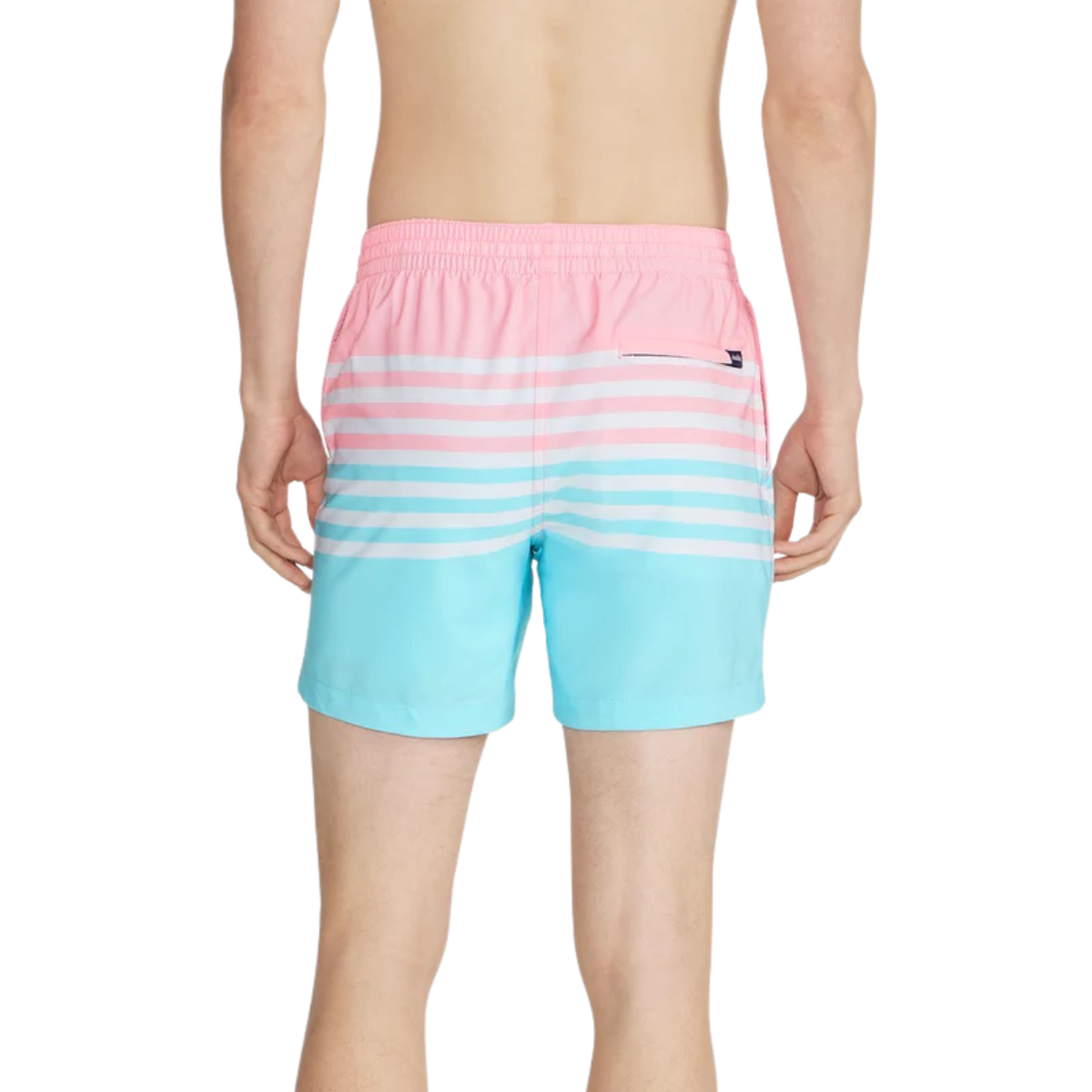 Chubbies Men's Classic Swim Trunks