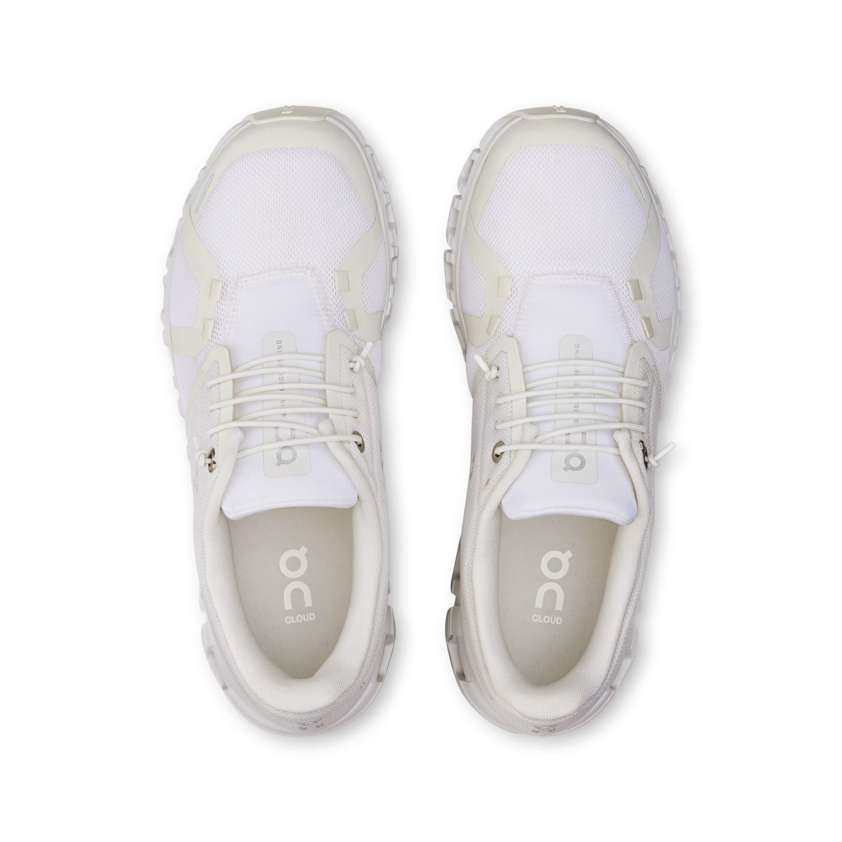 On Women's Cloud 6 Shoe