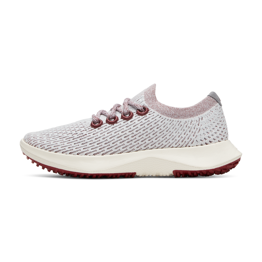 Allbirds Men's Tree Dasher 2