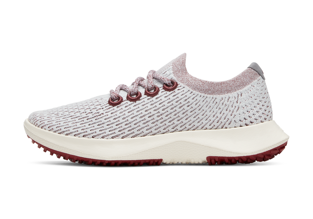 Allbirds Men's Tree Dasher 2