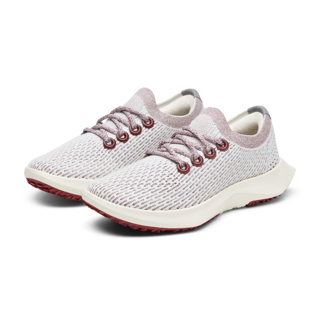 Allbirds Men's Tree Dasher 2