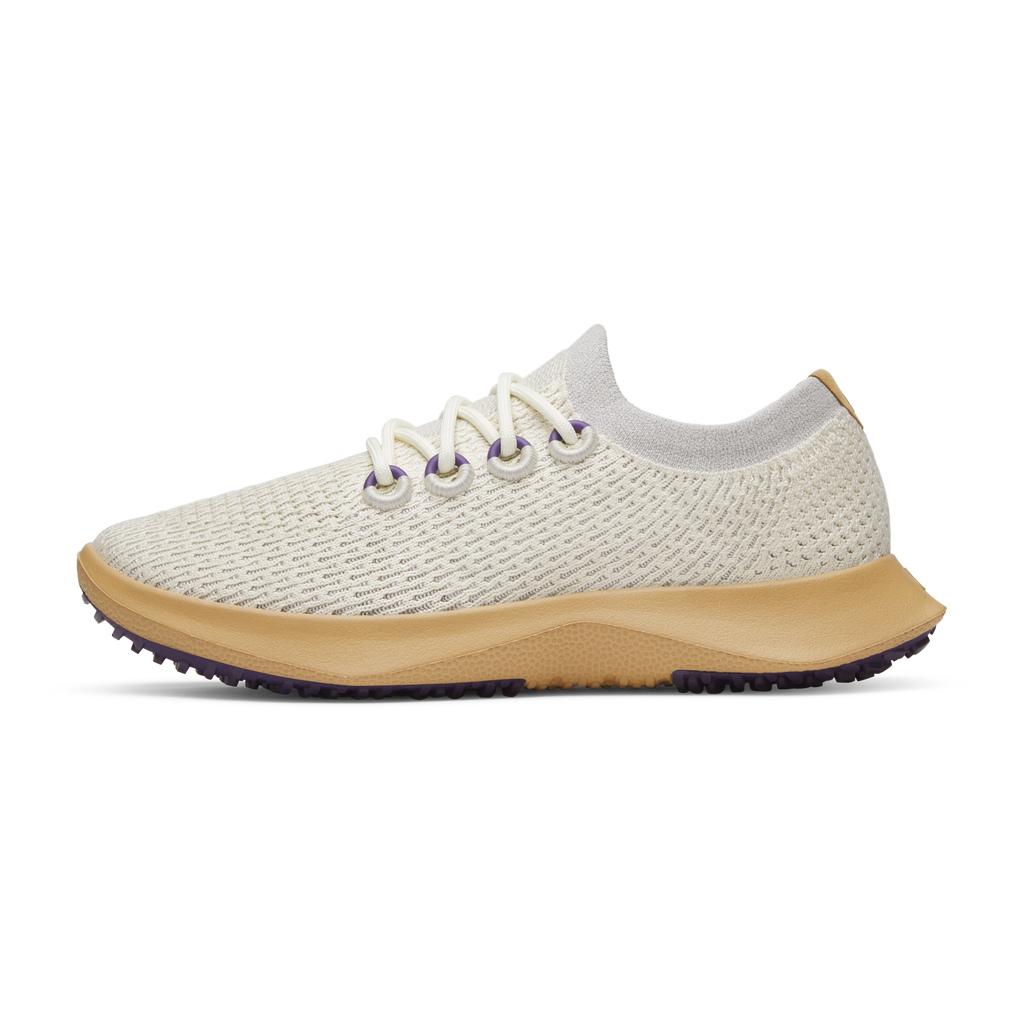 Allbirds Men's Tree Dasher 2