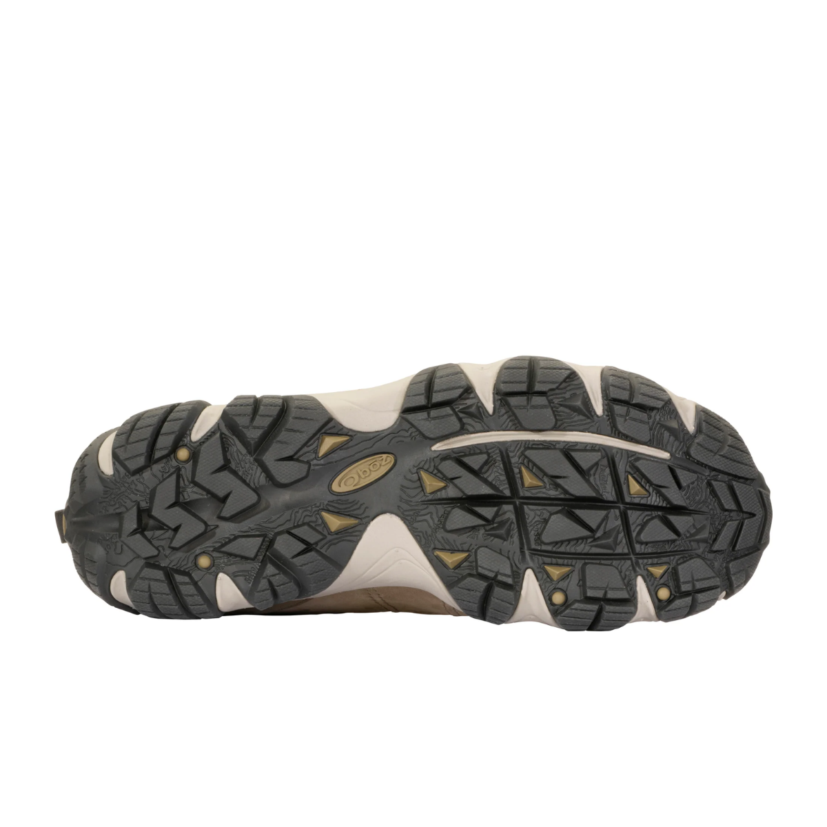 Oboz Men's Firebrand II Low Waterproof Hiking Shoe