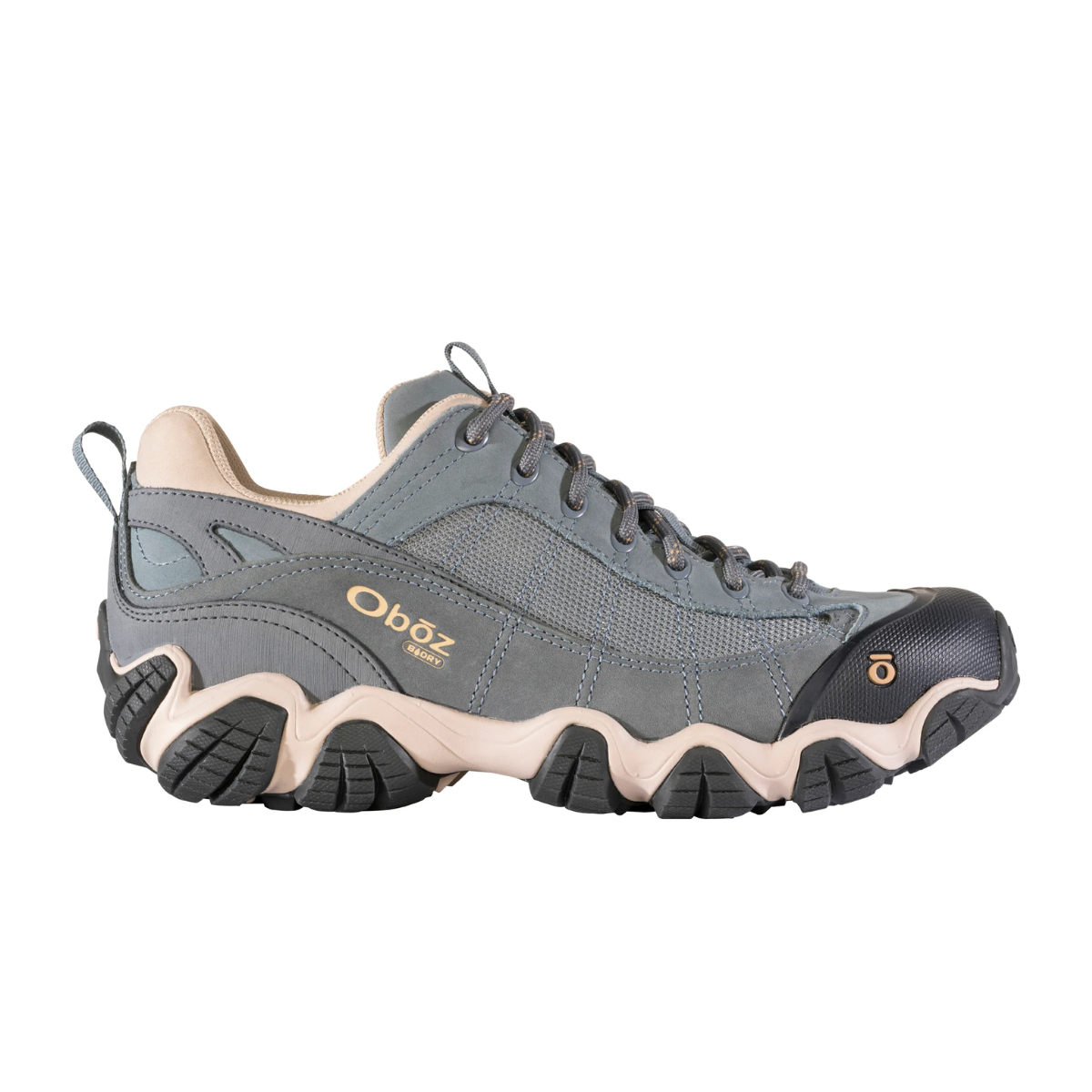 Oboz Men's Firebrand II Low Waterproof Hiking Shoe