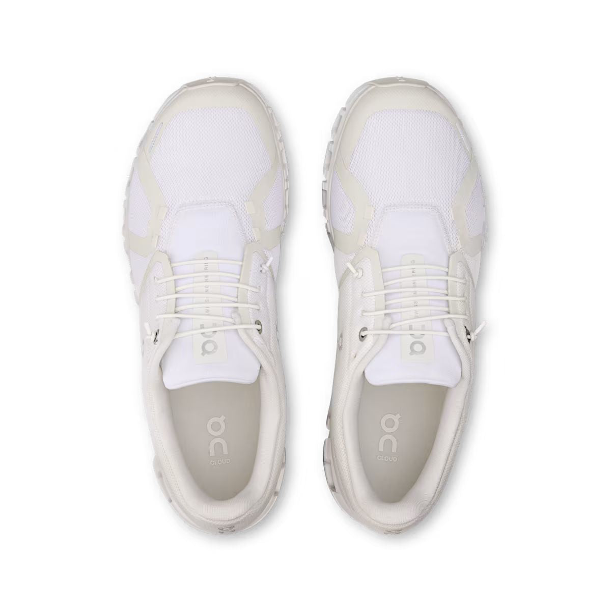 On Women's Cloud 6 Shoe