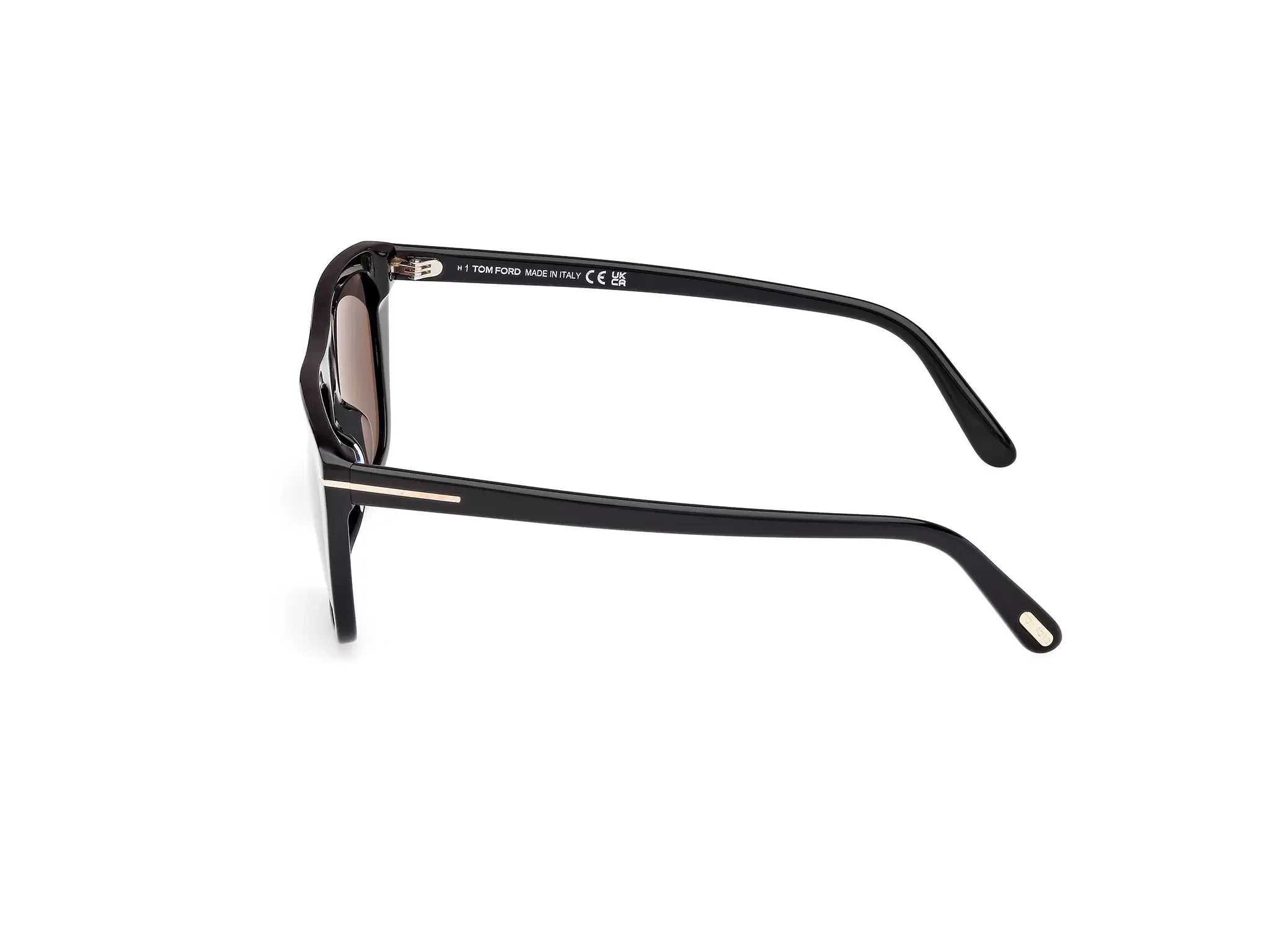 Tom Ford Men's Aslan Sunglasses